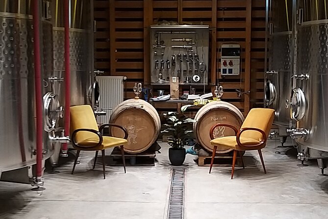 Pinot Noir & Pinot Wine Tour to Baden-Württemberg - Exploring Kaiserstuhls Volcanic Vineyards