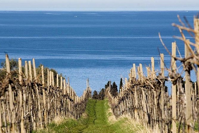 Piran and Scenic Slovenian Coast-Private Experience from Koper - Scenic Drive Through Portoroz and Izola’s Coastal Towns