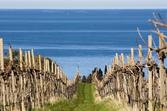 Piran and Scenic Slovenian Coast-Private Experience from Koper - Visiting Koper Cathedral and Bell Tower