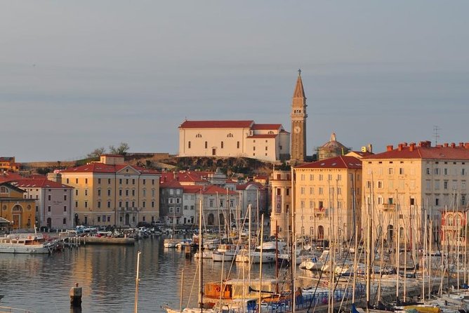 Piran and Scenic Slovenian Coast - Private Tour from Trieste - The Role of the Guide in Creating a Memorable Experience