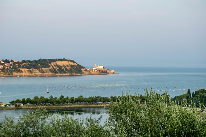 Piran Old Town Walking Tour - Starting Point at Caffe Neptun and the Tour’s Duration
