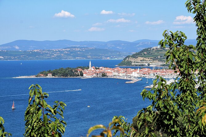 Piran & Panoramic Slovenian Coast - Small Group Tour from Koper - Exploring Izola’s Fishing Heritage