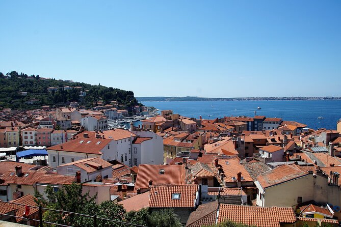 Piran & Panoramic Slovenian Coast - Small Group Tour from Koper - Food and Wine Tasting Highlights
