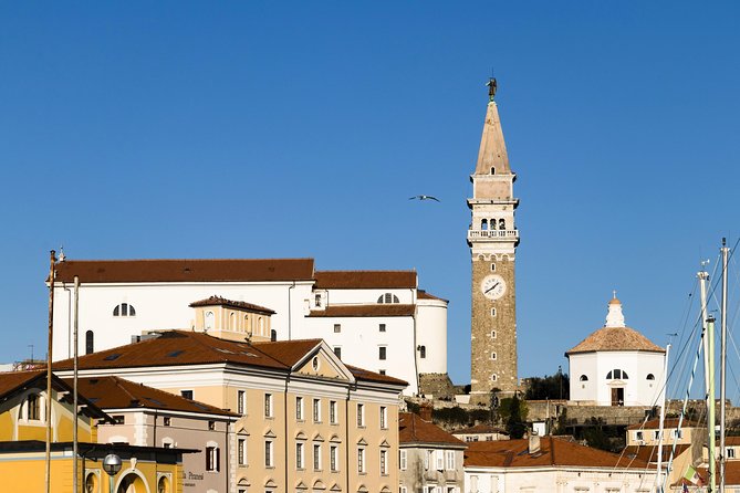 Piran & Panoramic Slovenian Coast - Small Group Tour from Trieste - Food and Wine Tasting Highlights