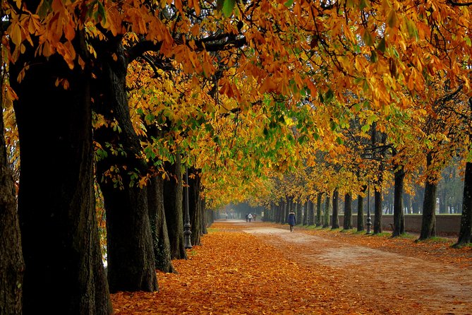 Pisa and Lucca Shore Excursion from La Spezia Port - Logistics, Comfort, and Flexibility