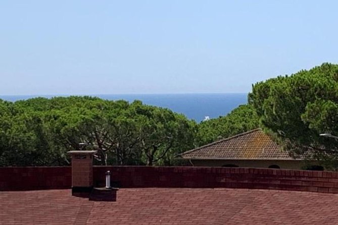 Pisa/Florence Airport Pick-up/Drop-off to Castiglioncello - The Multilingual Driver Enhances the Experience