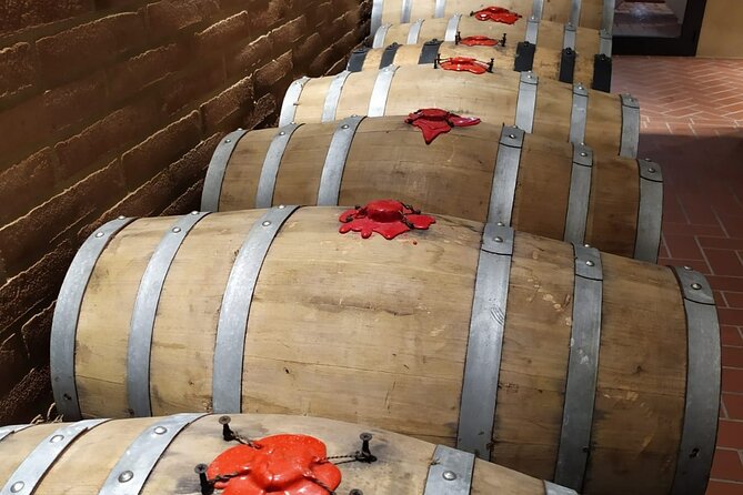 Pisa, Florence & Chianti wine tour - Tasting Tuscany: Wine and Olive Oil at a Family Farm