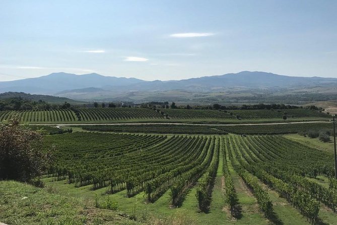 Pisa Full Day from La Spezia Port - Relaxing Break at Marina di Pisa Beach