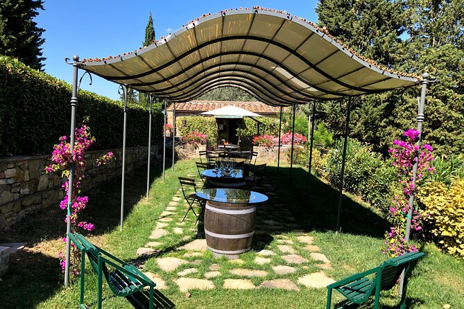 Pisa, Lucca & Winery Private Tour from Livorno port - Discover Pisa, Lucca, and a Tuscan Winery in a Private Shore Excursion