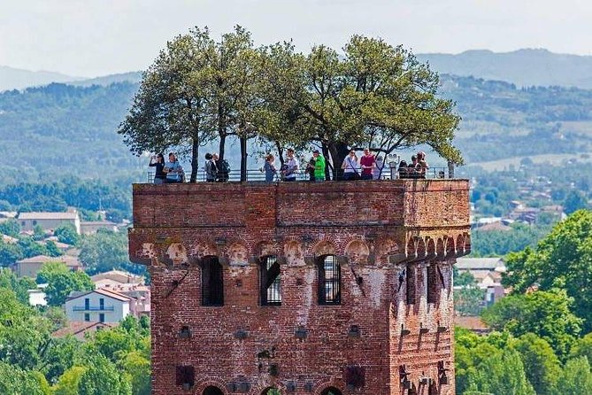 Pisa, Lucca & Winery Private Tour from Livorno port - Walking Through Lucca’s Historic Walls and Streets