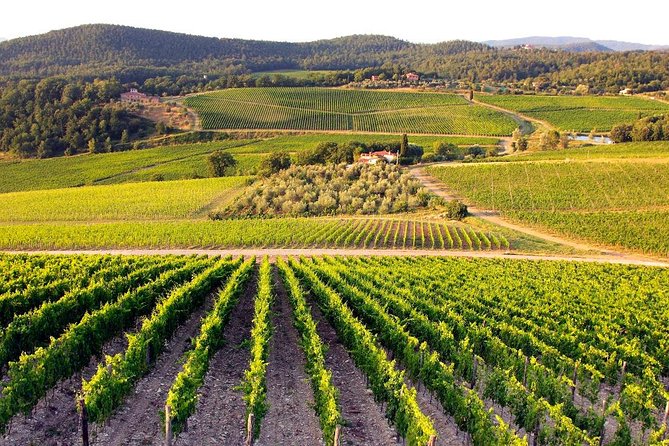 Pisa, San Gimignano and Chianti - Explore Tuscany’s Highlights in a Small-Group Day Trip from Livorno