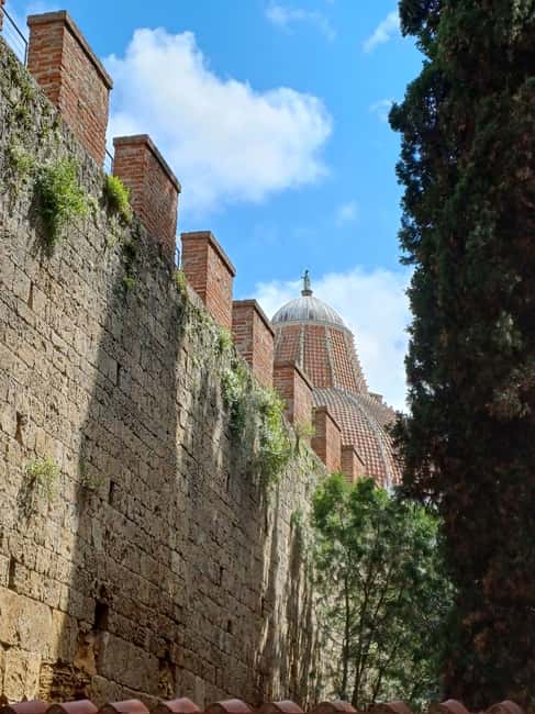 Pisa: Square of Miracles and Leaning Tower Walking Tour - Accessibility and Limitations