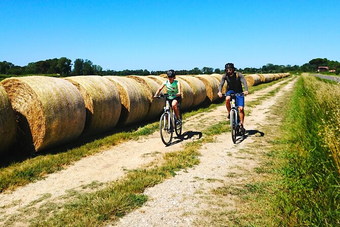 Pisa to Lucca Self-Guided Bike Tour Along the Puccini Trail - The Food and Drink Options in Lucca