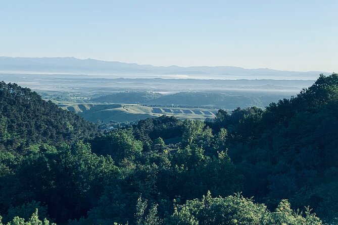 Pisa Tour and Wine Tasting on the Pisan Hills - Key Points