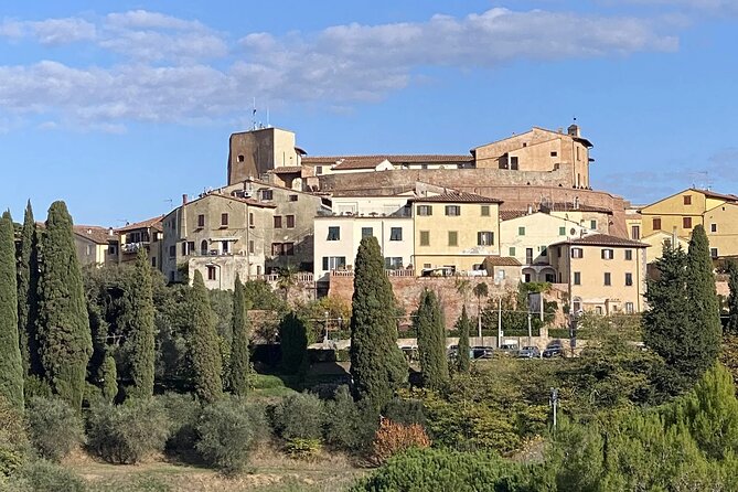 Pisa Tour and Wine Tasting on the Pisan Hills - Vineyard Visits and Wine Tasting in Terricciola