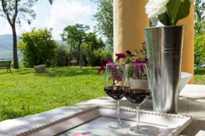 Pisa Tour and Wine Tasting on the Pisan Hills - Reliable and Comfortable Transport from Livorno