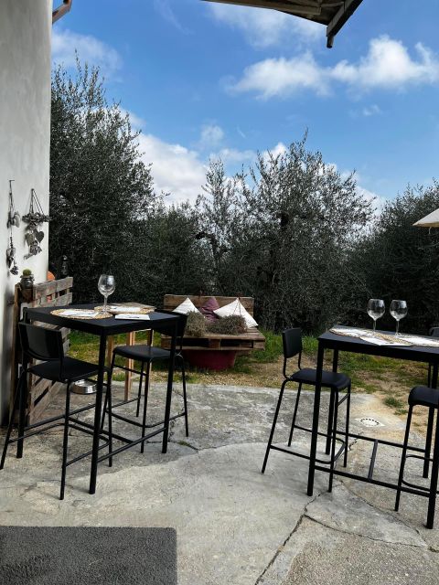 Pisa: Winery Tour and Wine Tasting with Local Food Pairing - Key Points