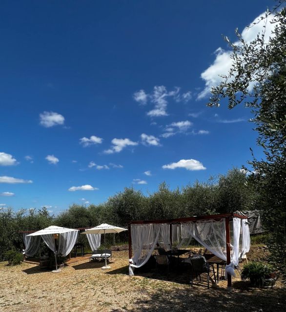 Pisa: Winery Tour and Wine Tasting with Local Food Pairing - Exploring the Cellar and Winemaking Techniques