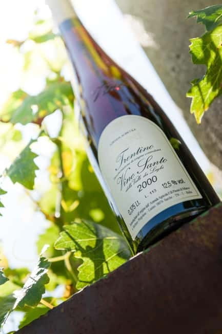 Pisoni: Stories of wine and flavors - Key Points