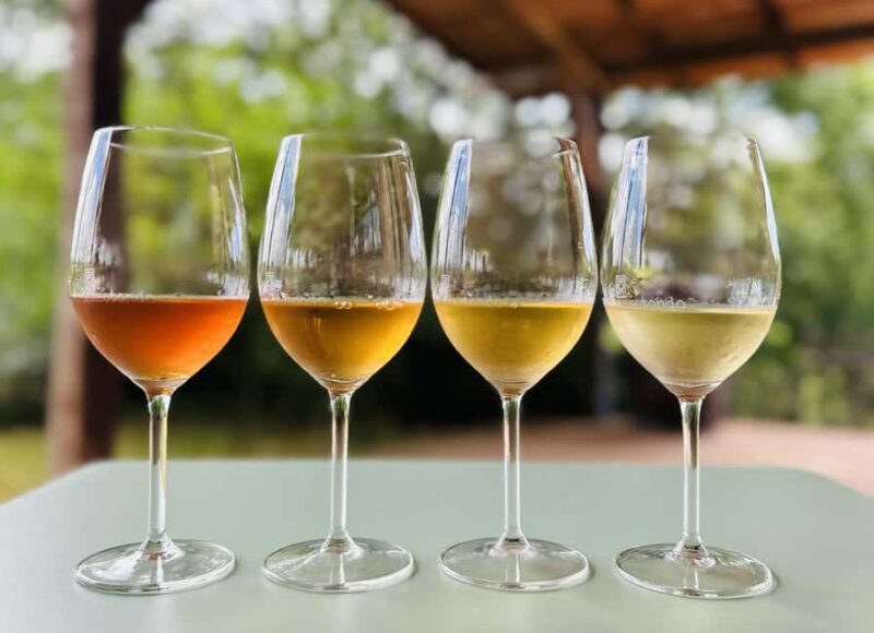 Pitigliano: Ciliegiolo Grape Wine Tasting - Key Points