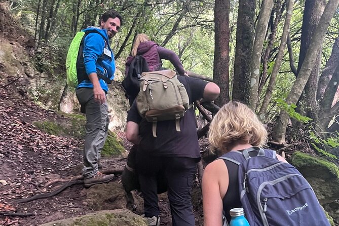 Pitigliano in the footstep of the Etruscan: Hike and wine tasting - Why Choose This Tour?