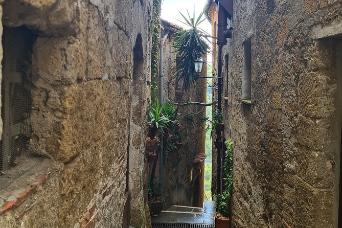 Pitigliano Private Walking Tour - The Experience and Pacing