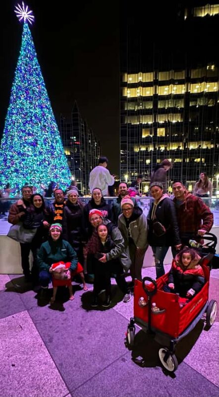 Pittsburgh: Downtown Holiday Lights Walking Tour - Local Bars and Holiday Shopping
