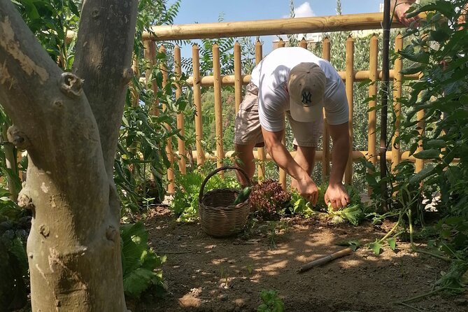 Pizza e Tiramisù class with local mum in Positano - Why This Class Excels: Authenticity and Personal Touch