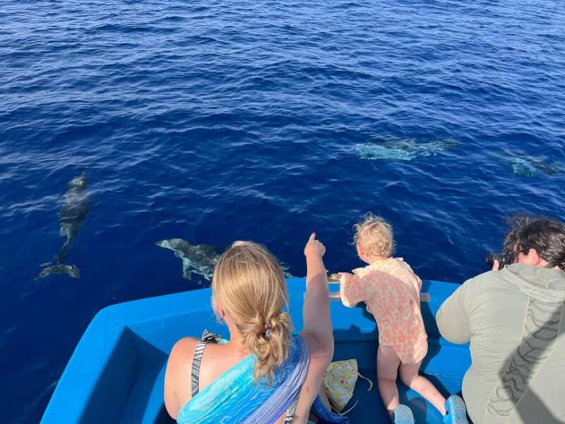 Pizzo: Fishing, Snorkeling, Dolphin Watching - Scenic Coastline Views of Pizzo and Its Historic Center