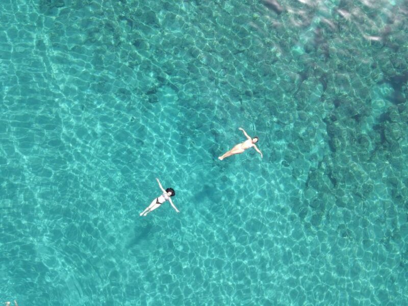 Pizzo: Fishing, Snorkeling, Dolphin Watching - What the Reviews Say About the Trip Experience