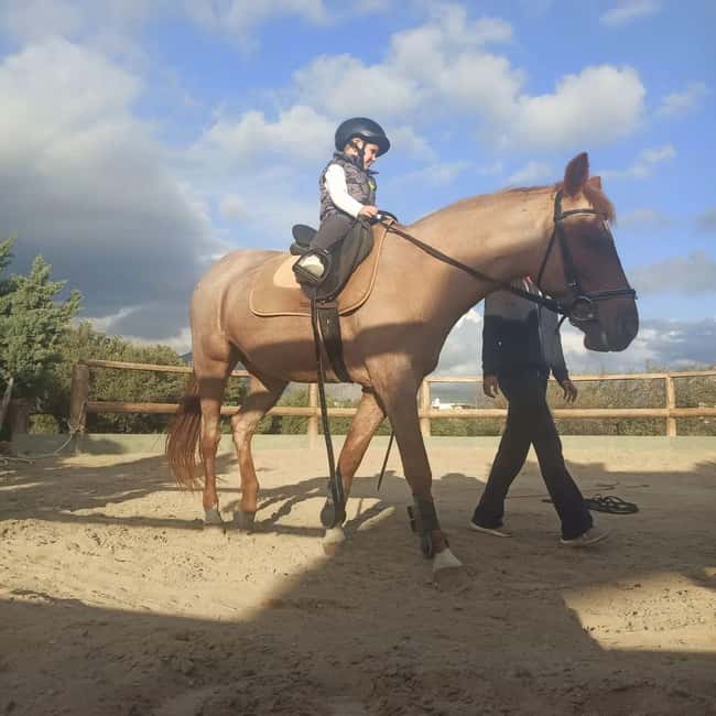 Plakias: Horse Riding Lesson - Key Points