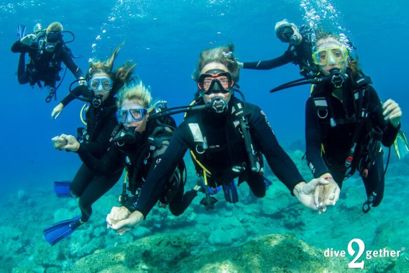Plakias: Try Scuba Diving, private experience - from 8yrs - Discover Plakias’ Top Dive Site in Crete