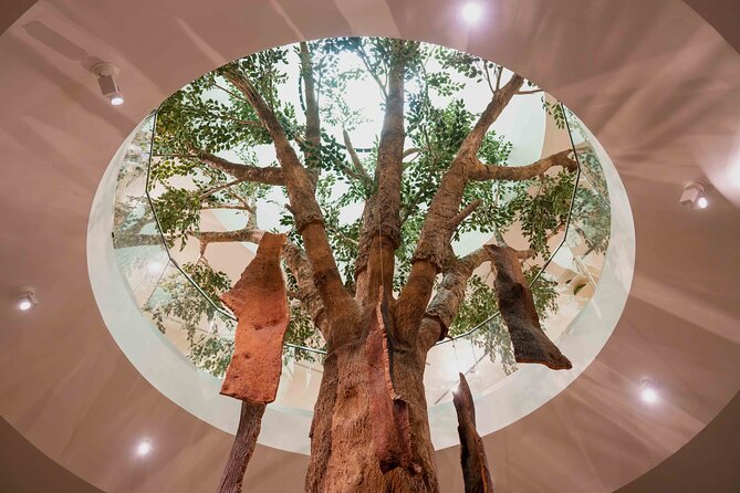 Planet Cork Entry Ticket at WOW - Practical Tips for Visiting the Museum