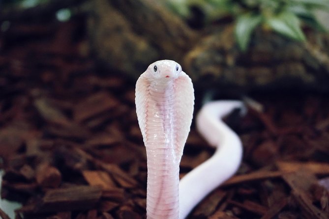 Planet Exotica entrance ticket - Key Points