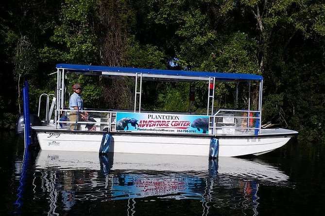 Plantation's Kings Bay Sunset Cruise - Exploring Kings Bay on a Fully Covered Boat