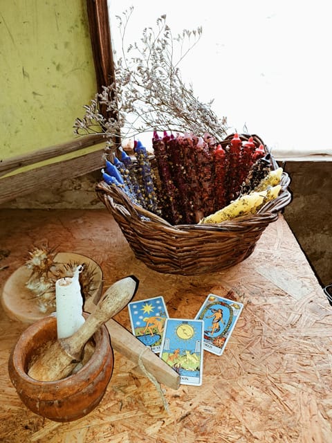 Plants and natural elements for Witchcraft and Tarot - Explore Green Witchcraft and Tarot in Gran Canaria