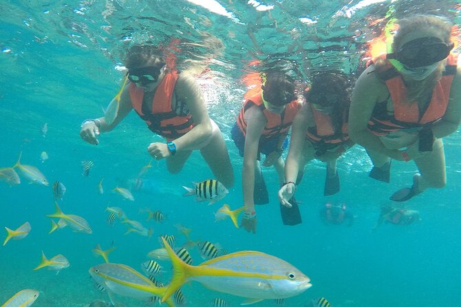 Platinum Catamaran, Drinks, Party and Beach Club! From Cancun - Experience a lively day on the water with the Platinum Catamaran, Drinks, Party and Beach Club tour from Cancun