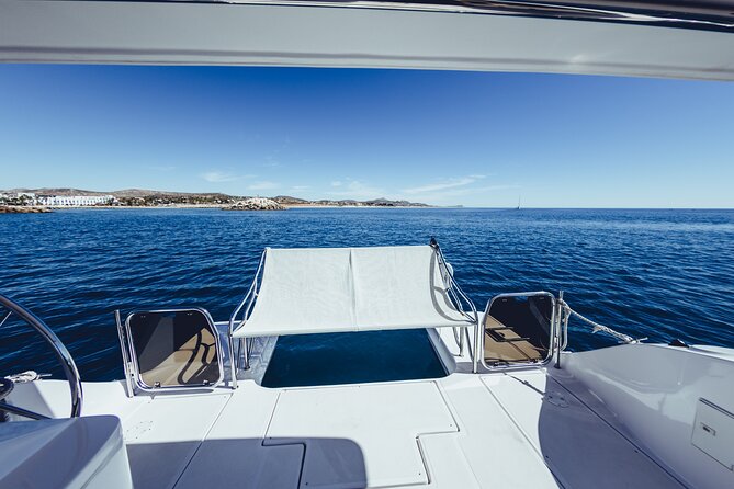 Platinum Snorkel Tour - The Experience Aboard the Luxury Catamaran