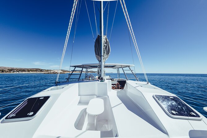 Platinum Snorkel Tour - The Value of the Platinum Snorkel Tour