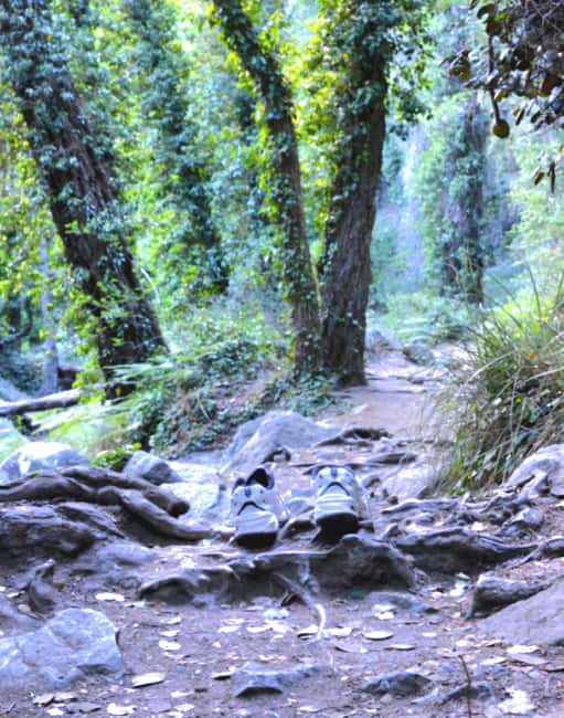 Platres & Omodos: Tour with Wine, Chocolate, Walks & Clicks - What Makes This Tour Stand Out