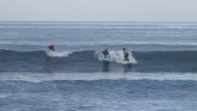Playa de Las Americas: Surfing Group Lesson - What Makes This Surf Lesson Stand Out in Playa de Las Americas