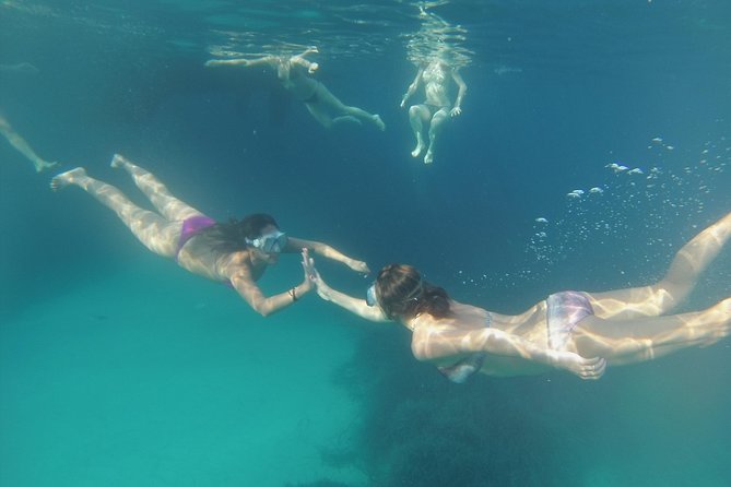 Playa de Ses Illetes Sailboat Full Day Private Trip - The Practicalities of Food and Drink