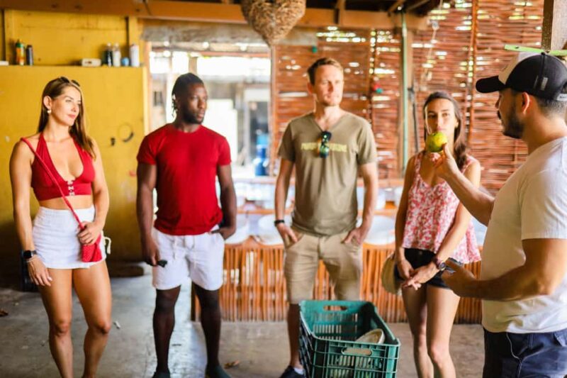 Playa del Carmen: 3-Hour Local Food Walking Tour - Who Will Enjoy This Tour Most