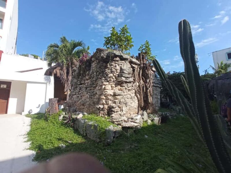 Playa del Carmen: A Sensory Tour Through Mexico's Culinary Memory - Key Points