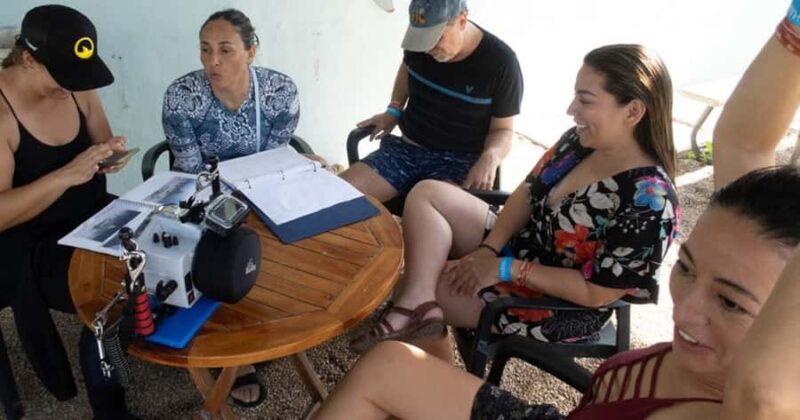 Playa del Carmen: Bull Shark Encounter - Exciting Underwater Encounter with Bull Sharks in Playa del Carmen