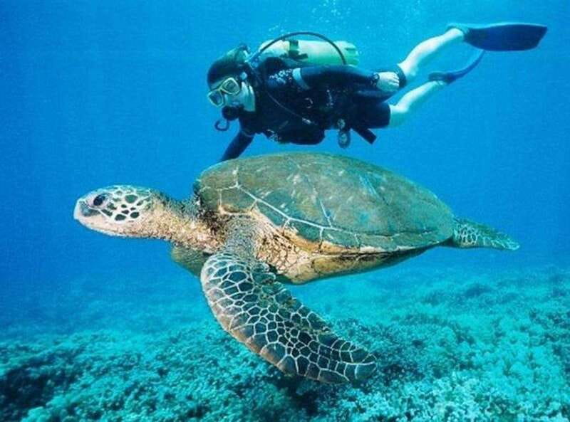 Playa del Carmen: Cenote Diving for Certified Divers - Thrilling Cenote Diving for Certified Divers in Playa del Carmen