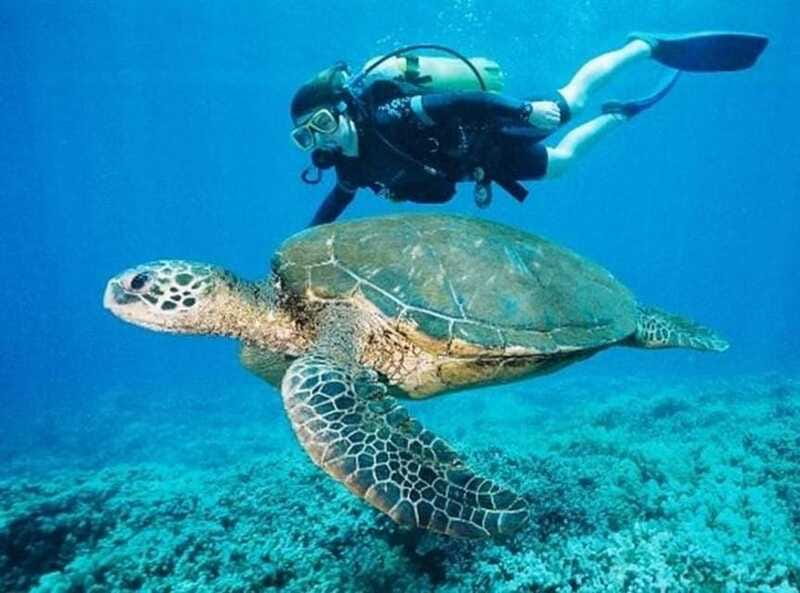 Playa del Carmen: Cenote Diving for Certified Divers - What Sets This Tour Apart from Others