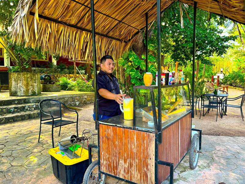 Playa del Carmen: Chichen Itza, Valladolid, Cenote & Buffet - Travel in Comfort with Round-Trip Transportation and Expert Guides