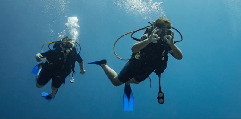 Playa del Carmen: Discover Scuba Diving - What to Expect During the Half-Day Schedule