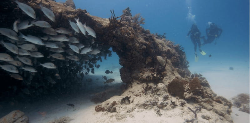 Playa del Carmen: Discover Scuba Diving - The Experience Provider and Guide: DIVE MIKE